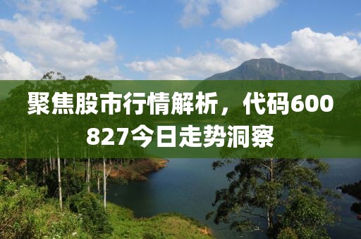 聚焦股市行情解析，代码600827今日走势洞察
