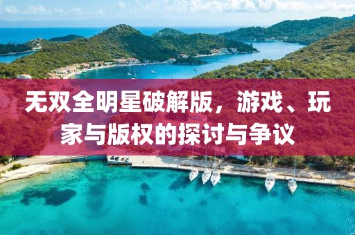 无双全明星破解版，游戏、玩家与版权的探讨与争议