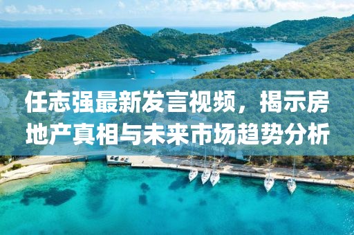 任志强最新发言视频，揭示房地产真相与未来市场趋势分析