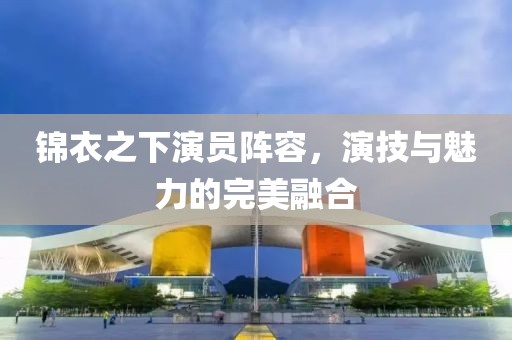 锦衣之下演员阵容，演技与魅力的完美融合