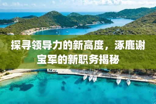 探寻领导力的新高度，涿鹿谢宝军的新职务揭秘