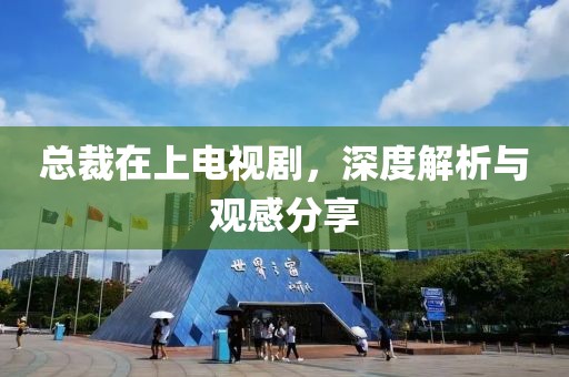 总裁在上电视剧，深度解析与观感分享