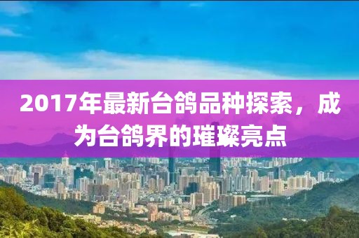 2017年最新台鸽品种探索，成为台鸽界的璀璨亮点