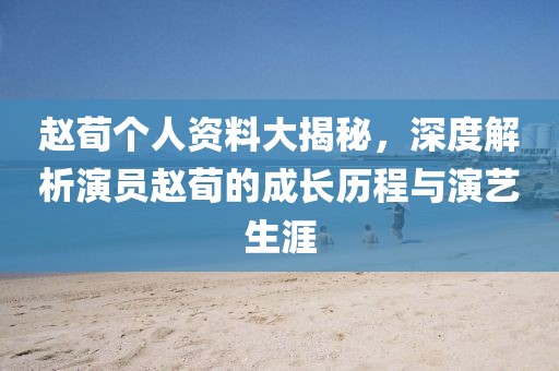 赵荀个人资料大揭秘，深度解析演员赵荀的成长历程与演艺生涯