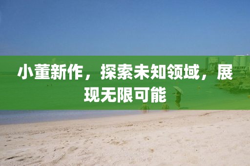 小董新作，探索未知领域，展现无限可能