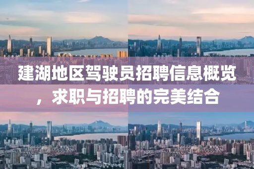 建湖地区驾驶员招聘信息概览，求职与招聘的完美结合