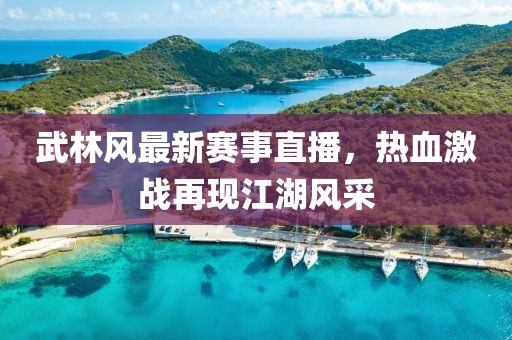 武林风最新赛事直播，热血激战再现江湖风采