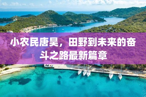 小农民唐昊，田野到未来的奋斗之路最新篇章