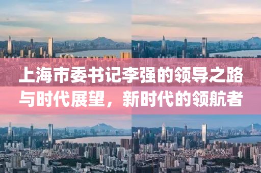上海市委书记李强的领导之路与时代展望，新时代的领航者