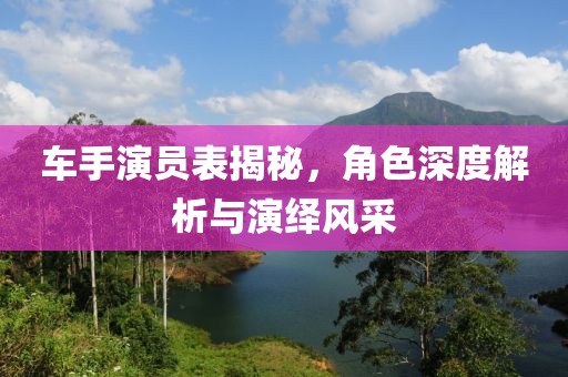 车手演员表揭秘，角色深度解析与演绎风采
