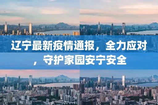 辽宁最新疫情通报，全力应对，守护家园安宁安全