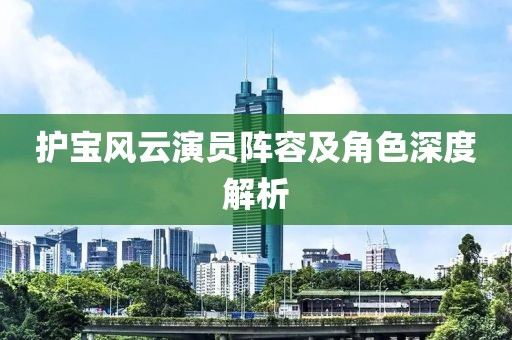 护宝风云演员阵容及角色深度解析