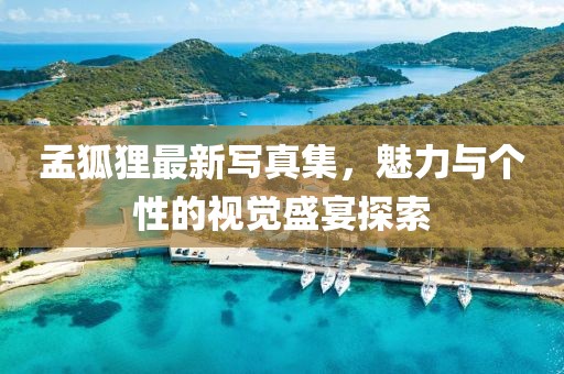 孟狐狸最新写真集，魅力与个性的视觉盛宴探索