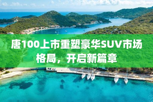 唐100上市重塑豪华SUV市场格局，开启新篇章