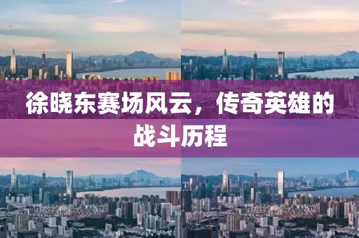 徐晓东赛场风云，传奇英雄的战斗历程