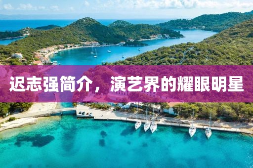 迟志强简介，演艺界的耀眼明星