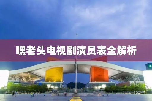 嘿老头电视剧演员表全解析