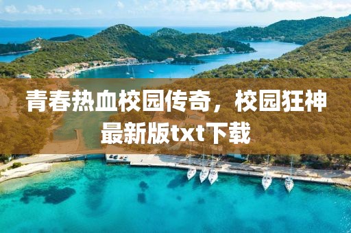 青春热血校园传奇，校园狂神最新版txt下载