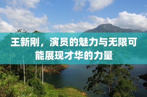 王新刚，演员的魅力与无限可能展现才华的力量