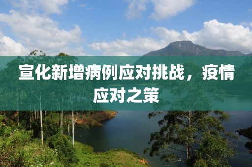 宣化新增病例应对挑战，疫情应对之策