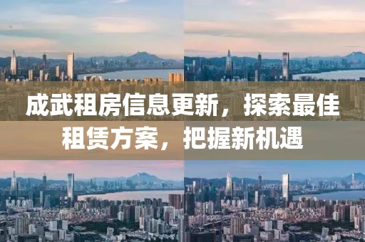 成武租房信息更新，探索最佳租赁方案，把握新机遇