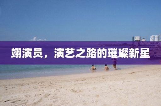 翊演员，演艺之路的璀璨新星