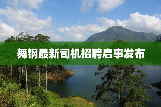 舞钢最新司机招聘启事发布