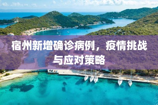 宿州新增确诊病例，疫情挑战与应对策略