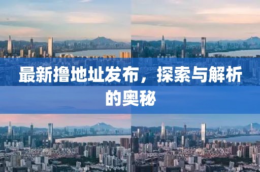 最新撸地址发布，探索与解析的奥秘
