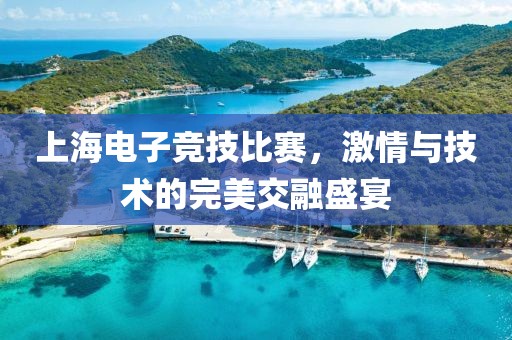 上海电子竞技比赛，激情与技术的完美交融盛宴