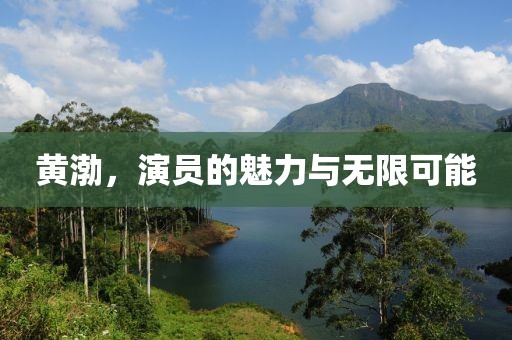黄渤，演员的魅力与无限可能