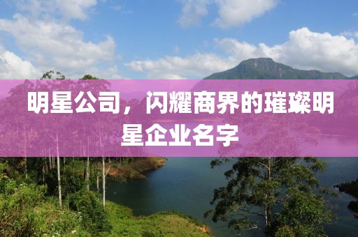 明星公司，闪耀商界的璀璨明星企业名字