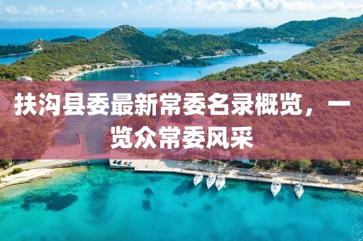 扶沟县委最新常委名录概览，一览众常委风采