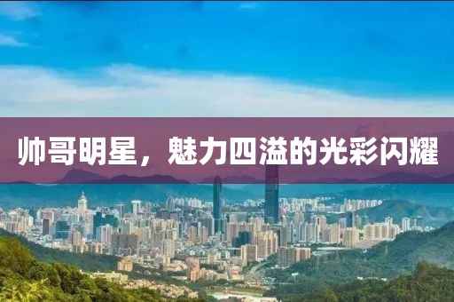帅哥明星，魅力四溢的光彩闪耀