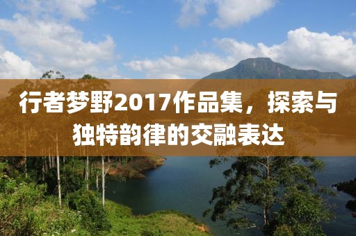 行者梦野2017作品集，探索与独特韵律的交融表达