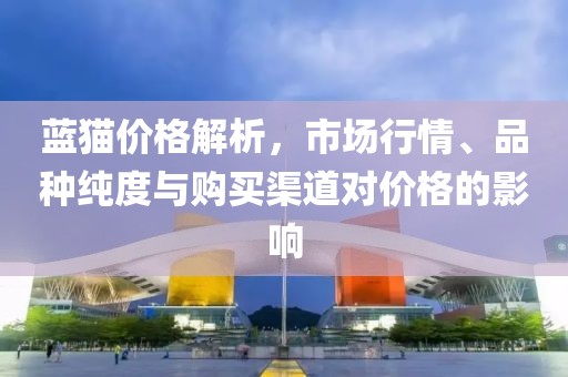 蓝猫价格解析，市场行情、品种纯度与购买渠道对价格的影响