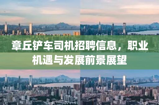 紫南 第3页