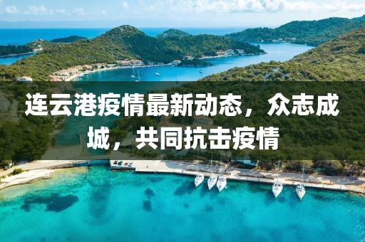 连云港疫情最新动态，众志成城，共同抗击疫情
