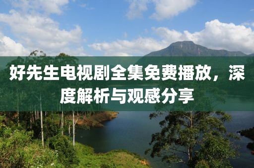 好先生电视剧全集免费播放，深度解析与观感分享