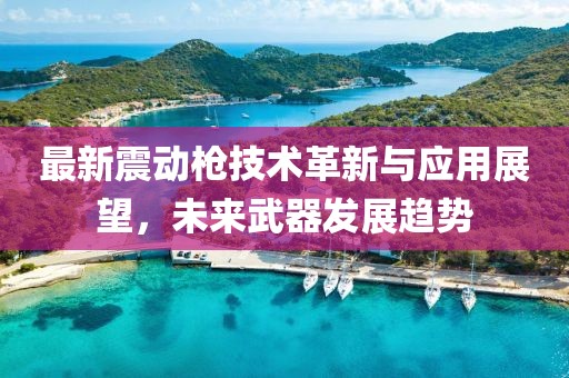 最新震动枪技术革新与应用展望，未来武器发展趋势