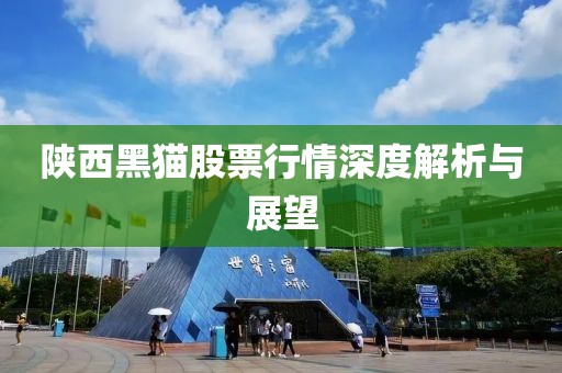 陕西黑猫股票行情深度解析与展望