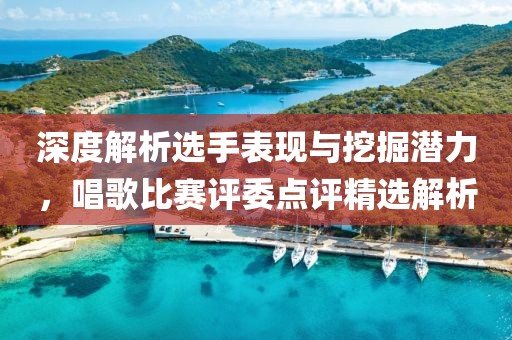 深度解析选手表现与挖掘潜力，唱歌比赛评委点评精选解析