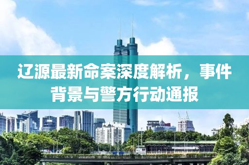 辽源最新命案深度解析，事件背景与警方行动通报
