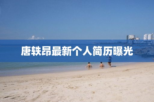 唐轶昂最新个人简历曝光