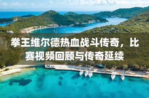 拳王维尔德热血战斗传奇，比赛视频回顾与传奇延续