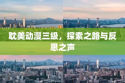 耽美动漫三级，探索之路与反思之声