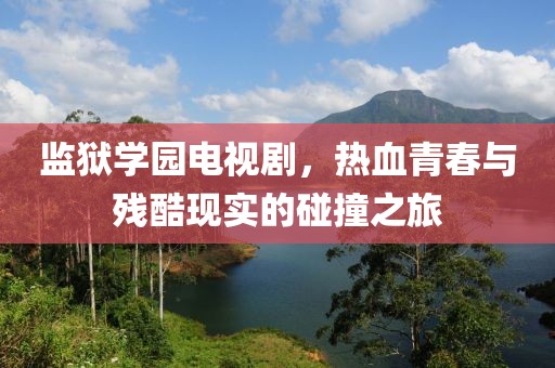 监狱学园电视剧，热血青春与残酷现实的碰撞之旅