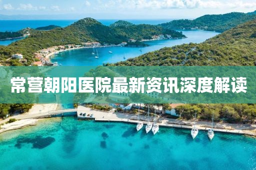 行雁书 第3页