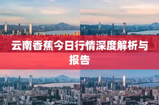 云南香蕉今日行情深度解析与报告