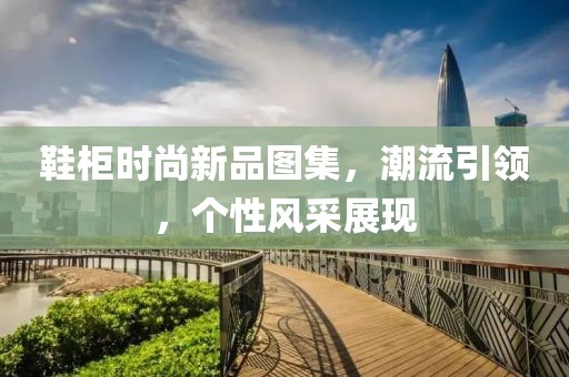 鞋柜时尚新品图集，潮流引领，个性风采展现